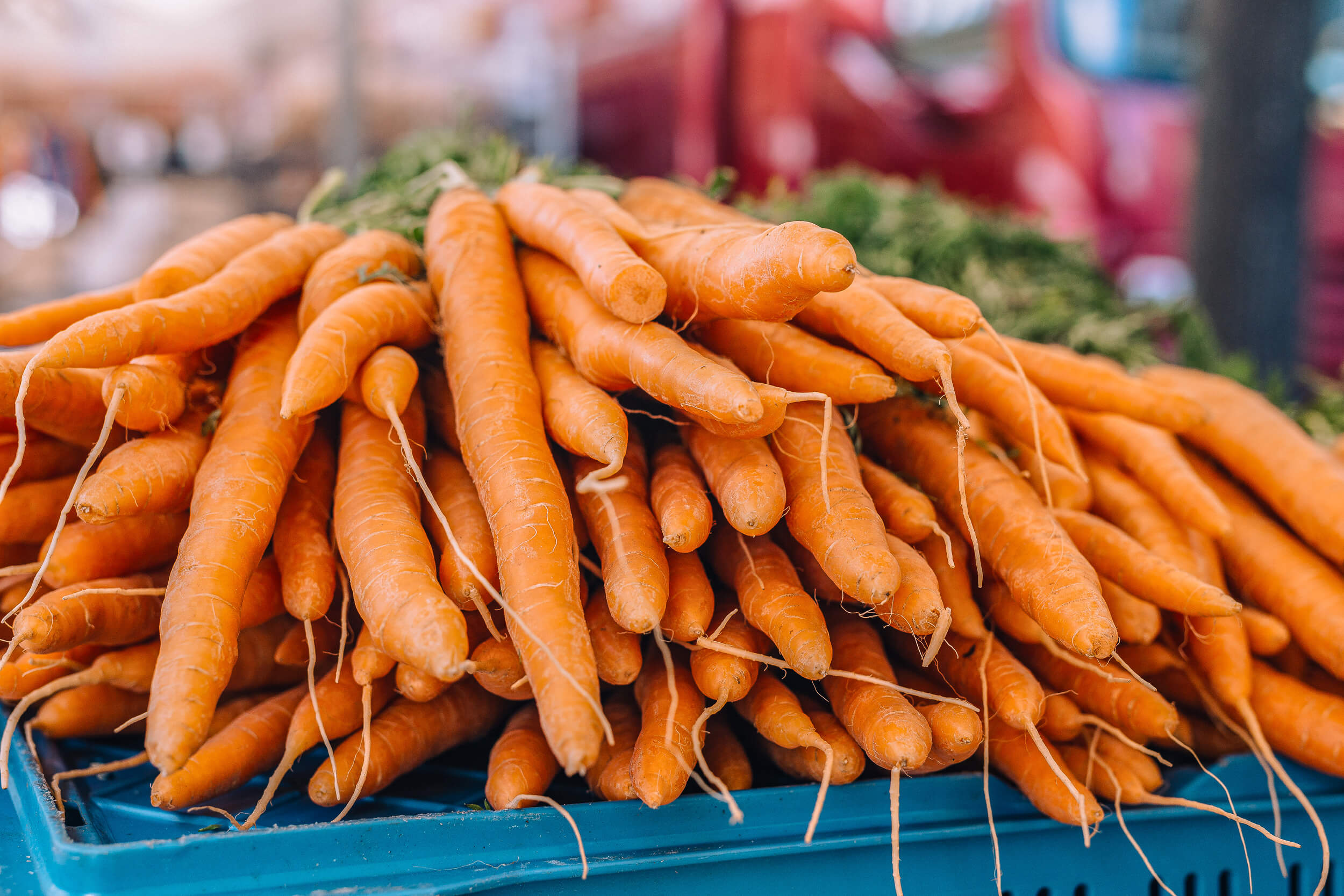 Premium Fresh Avocados