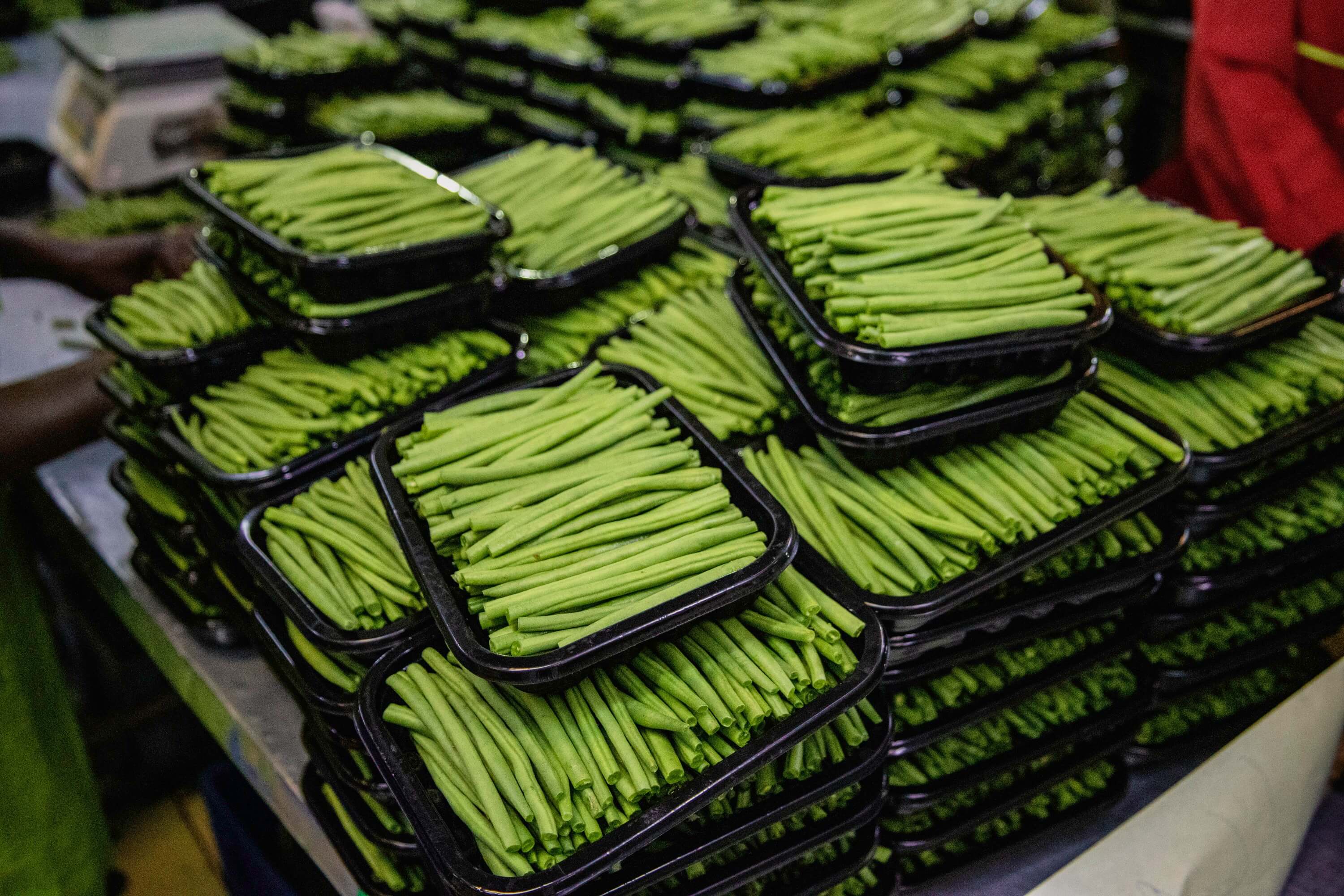 Nature’s Green Bounty