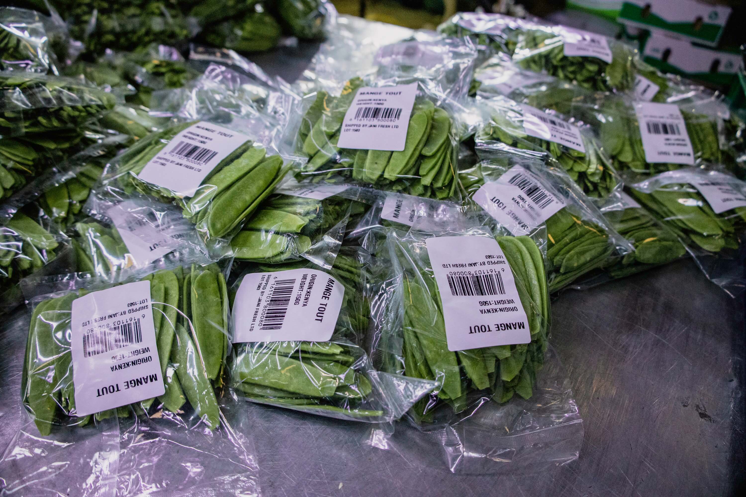 Nature’s Green Bounty