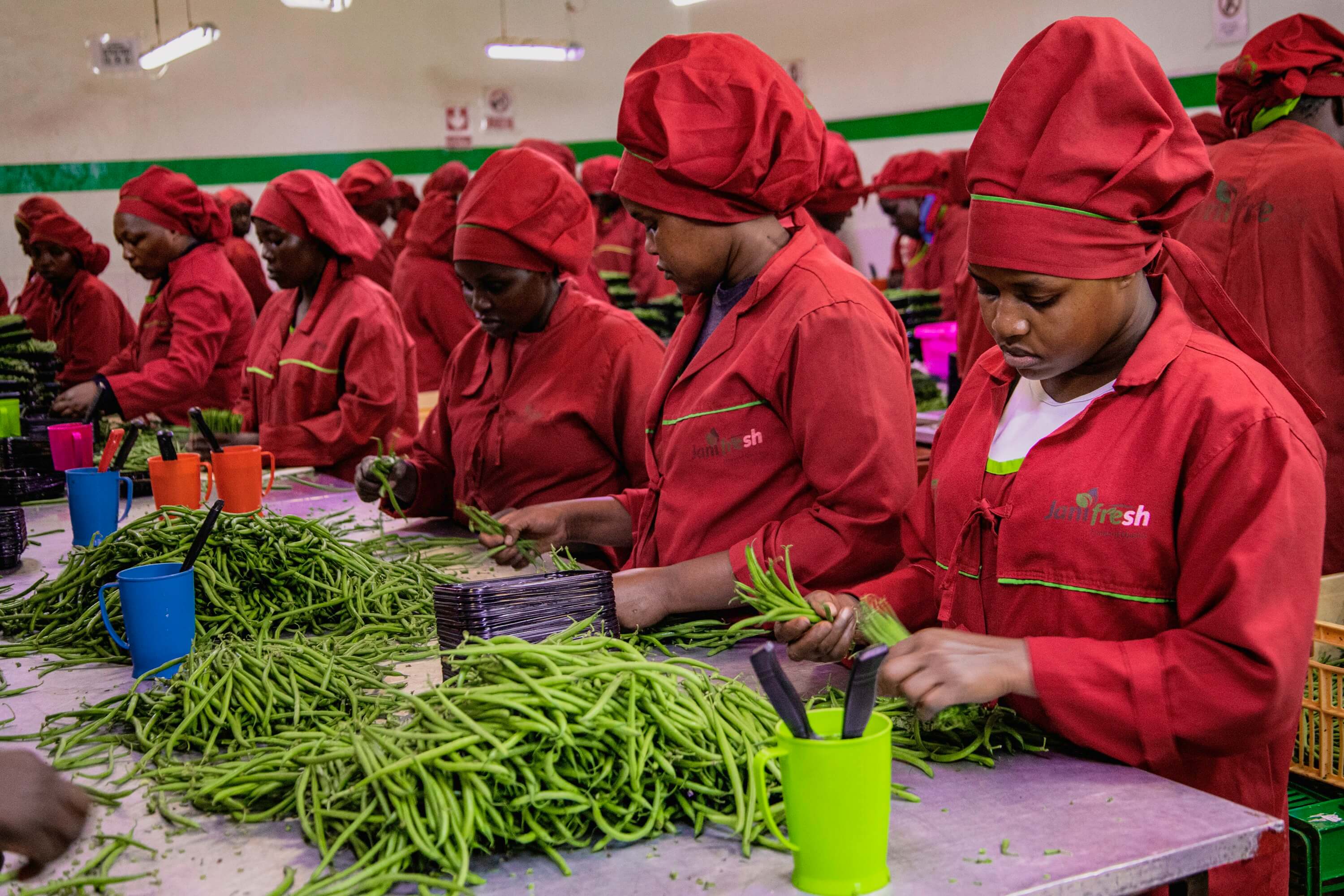 Nature’s Green Bounty